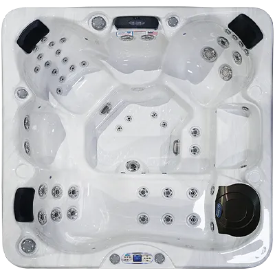 Avalon EC-849L hot tubs for sale in San Lucas