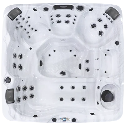 Avalon EC-867L hot tubs for sale in San Lucas