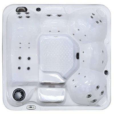 Hawaiian PZ-636L hot tubs for sale in San Lucas